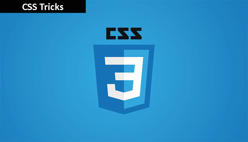 css-logo